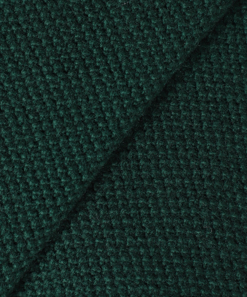 LACOSTE(ラコステ)の「【LACOSTE / ラコステ×JS】別注 Vネックカーディガン(カーディガン/ボレロ・メンズ・ネイビー/キャメル/グリーン・4/3/5)」の15枚目の写真