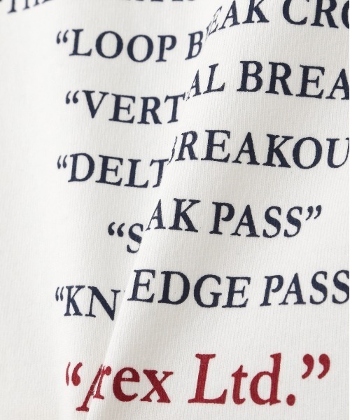 BLUE ANGELS EMBROIDERY SHORTSLEEVE T-SHIRT / ブルーエンジェルス エンブロイダリー Tシャツ / AVIREX / アヴィレックス（Tシャツ/カットソー）｜AVIREX（アヴィレックス）