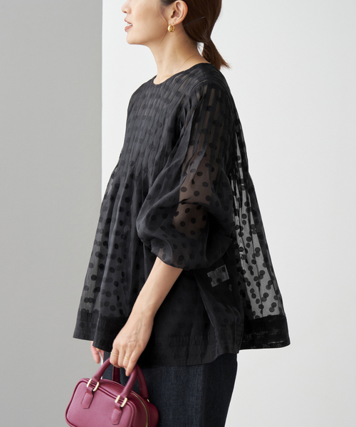 IENA TORRAZZO DONNA ブラウス ドット 長袖 シアー Free IENA TORRAZZO DONNA ブラウス ドット 長袖 シアー Free IENA