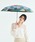 Wpc.i_us[V[j́uWpc.bHERALBONY A[gՌP ~j P ܂肽݁i܂肽ݎPjvb}`
