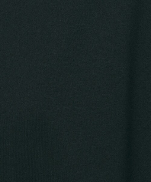 UNTITLED(アンタイトル)の「【Audrey and John Wad】ダブルシルケット天竺デザインプルオーバー(Tシャツ/カットソー・レディース・ホワイト/ブラック・02)」の10枚目の写真