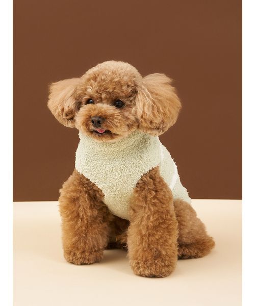 gelato pique(ジェラートピケ)の「【CAT&DOG】ベビモコチェリージャガードニット(ペットウェア・レディース・ブルー/グリーン・L/M/S)」の19枚目の写真