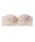 PEACH JOHN�i�s�[�`�W�����j�́u�p�b�Ƃ������m�����C���[�X�g���b�v���X�i�u���W���[�j�v�b���b�h