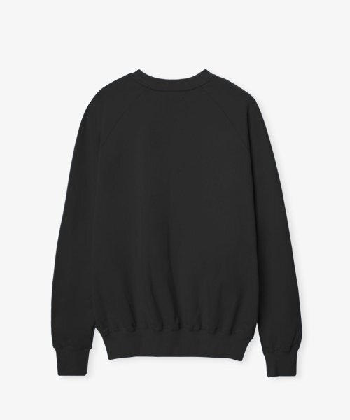 BIRTHDAYSUIT(バースデースーツ)の「FLAG SWEAT (NAVY)(スウェット・メンズ・その他・LARGE/MEDIUM/SMALL/X-LARGE/X-SMALL)」の2枚目の写真