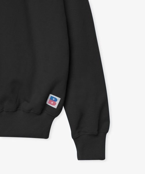 BIRTHDAYSUIT(バースデースーツ)の「FLAG SWEAT (NAVY)(スウェット・メンズ・その他・LARGE/MEDIUM/SMALL/X-LARGE/X-SMALL)」の4枚目の写真