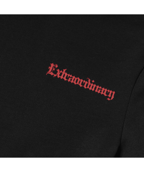 EXTRAORDINARY(エクストラオーディナリー)の「W BLACK LETTER LOGO TEE BLACK(Tシャツ/カットソー・レディース・その他・F)」の5枚目の写真