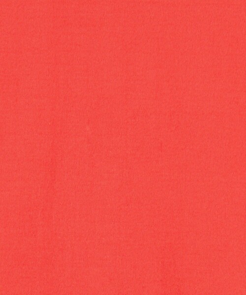 EDITION（エディション）の「キョウネンフライス ハイネックプルオーバー（Tシャツ/カットソー・レディース・ホワイト/ブラック/オレンジ・FREE）」の14枚目の写真