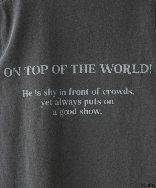 LOWRYS FARM（ローリーズファーム）の「Disney／バンドＴＳＳ　142864（Tシャツ/カットソー・レディース・オフホワイト/チャコールグレー/その他19・FREE）」の17枚目の写真