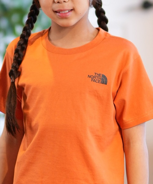 Tシャツ・カットソー THE NORTH FACE AIRLOX S/S R/TEE 5SA253 Tシャツ・カットソー THE NORTH FACE AIRLOX S/S R/TEE 5SA253