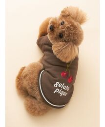 gelato pique(WF[gsP)́yCAT&DOGz`F[(ybgEFA)