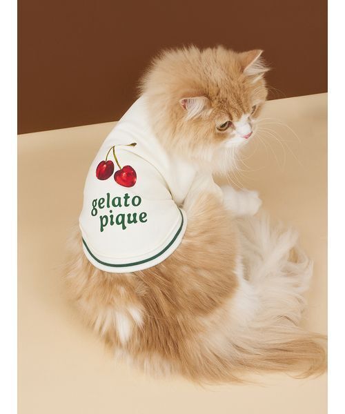 CAT&DOG】チェリー柄裏毛（ペットウェア）｜gelato pique（ジェラート