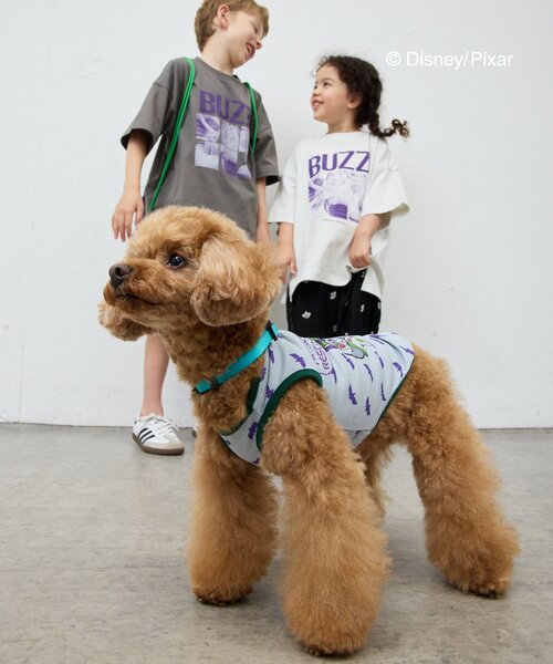 Disney(ディズニー)の「【KIDS】【TOY STORY/トイ・ストーリー】ストレッチメッシュDOGウェア(ペットウェア・レディース・イエロー/グリーン/レッド・MEDIUM/SMALL)」の10枚目の写真