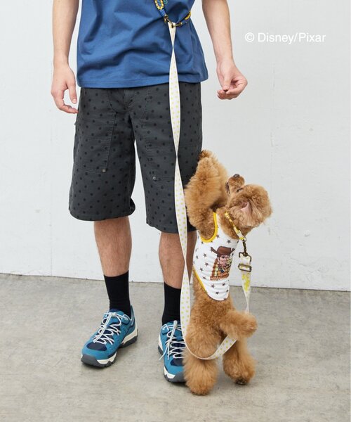 Disney(ディズニー)の「【KIDS】【TOY STORY/トイ・ストーリー】ストレッチメッシュDOGウェア(ペットウェア・レディース・イエロー/グリーン/レッド・MEDIUM/SMALL)」の13枚目の写真