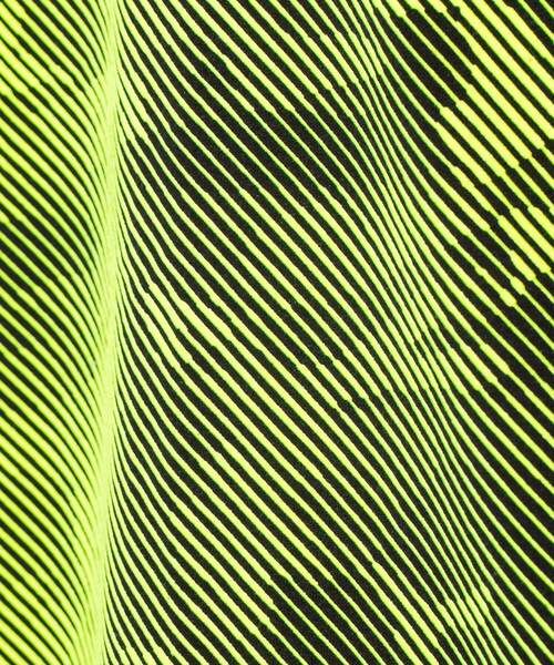 AKM Contemporary(エイケイエムコンテンポラリー)の「AKM Contemporary(エイケイエムコンテンポラリー)ラインカモプリントビッグシルエット 半袖Tシャツ(Tシャツ/カットソー・メンズ・ホワイト/ブラック×ホワイト/ブラック×イエロー・SMALL/MEDIUM/LARGE/X-LARGE)」の10枚目の写真