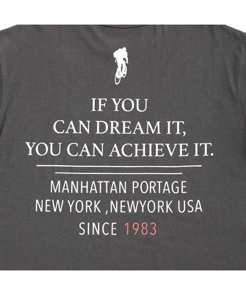 Manhattan Portage（マンハッタンポーテージ）の「S/S Print T-Shirt（Tシャツ/カットソー・メンズ・ホワイト/チャコール・LARGE/MEDIUM）」の7枚目の写真