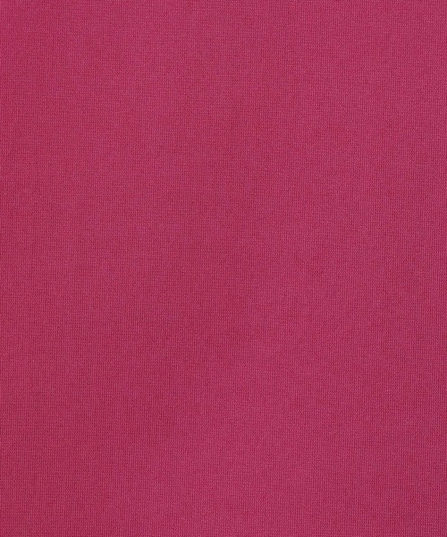 Rose Tiara（ローズティアラ）の「【手洗い可】フリル袖カットソー（Tシャツ/カットソー・レディース・ネイビー/ピンク/グリーン・38/42）」の21枚目の写真