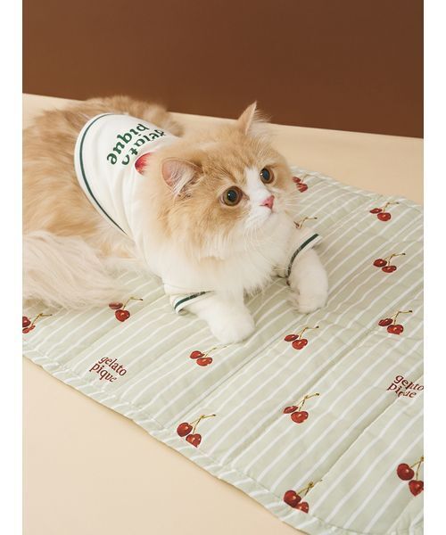 猫 CAT&DOG】チェリー柄カフェマット（その他ペットグッズ）｜gelato