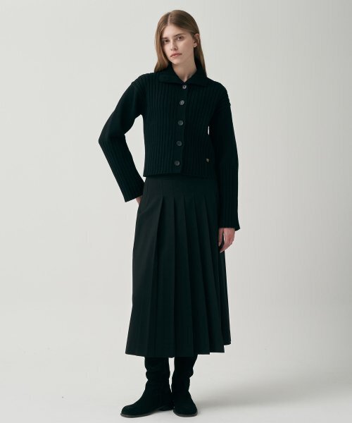 MOTT(モット)の「プリーツロングスカート-ブラック(スカート・レディース・その他・SMALL/MEDIUM)」の2枚目の写真