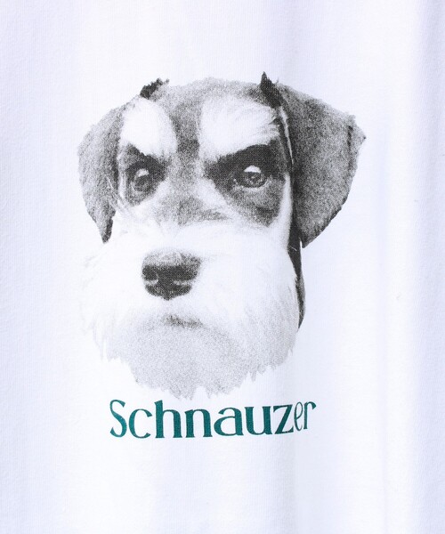 GLOSTER（グロスター）の「【シリーズ累計人気】DOG＆CAT プリントTシャツ（Tシャツ/カットソー・メンズ・ホワイト系その他/ホワイト系その他6/ホワイト系その他3/ホワイト系その他2/ホワイト系その他5/ホワイト系その他4・S/L/M）」の9枚目の写真