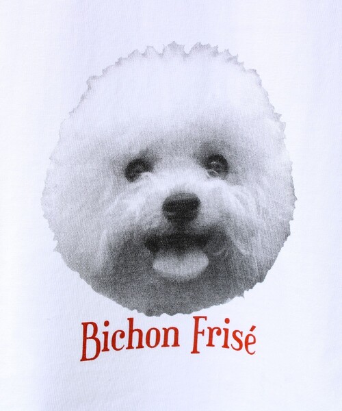 GLOSTER（グロスター）の「【シリーズ累計人気】DOG＆CAT プリントTシャツ（Tシャツ/カットソー・メンズ・ホワイト系その他/ホワイト系その他6/ホワイト系その他3/ホワイト系その他2/ホワイト系その他5/ホワイト系その他4・S/L/M）」の11枚目の写真