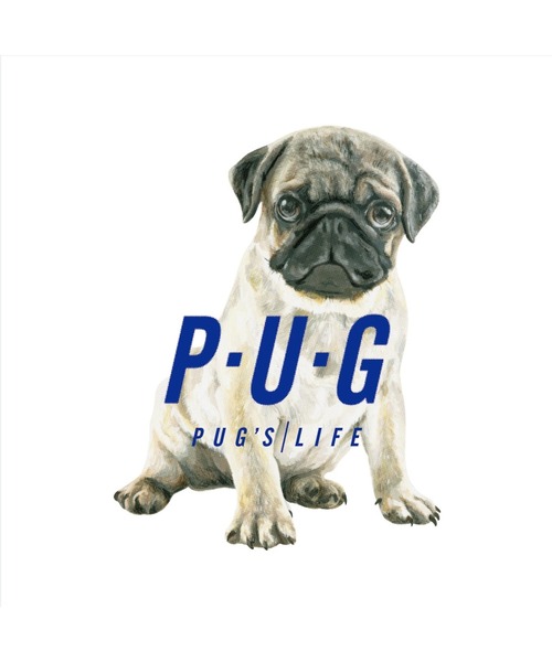 AKISHIKA design(アキシカデザイン)の「P.U.G's LIFE T-SHIRTS(Tシャツ/カットソー・メンズ・White・M/XL/L)」の7枚目の写真
