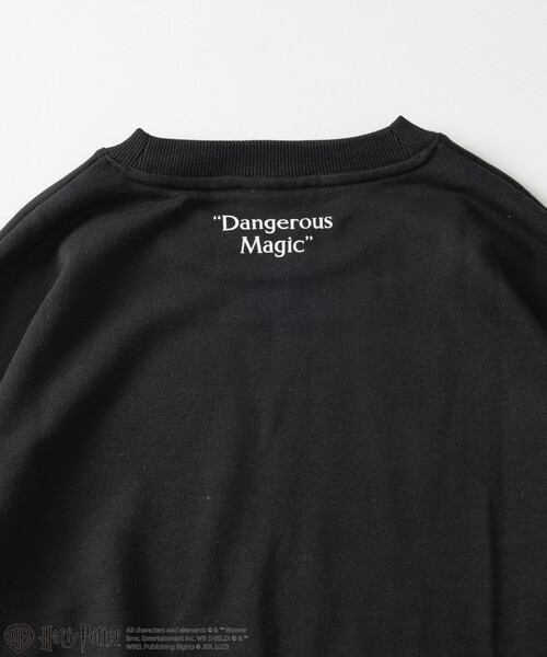 FREAK'S STORE(フリークスストア)の「Harry Potter/ハリー・ポッター ベラトリックス クルーネックスウェット(スウェット・メンズ・ライトグレー/ブラック・MEDIUM/LARGE)」の12枚目の写真