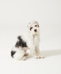 AOPT（アオプト）の「FISHNET MINI BONNET - GREYISH BLUE（ペットウェア）」