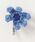 atmos�i�A�g���X�j�́ucrocs Blue Crochet Flower / �N���b�N�X �u���[�N���V�F�t�����[�i�V���[�Y�A�N�Z�T���[�j�v�b�}���`