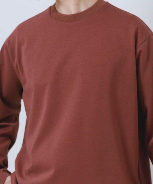 ITEMS URBANRESEARCH(アイテムズ アーバンリサーチ)の「ダブルフェイス裏配色長袖カットソー(Tシャツ/カットソー・メンズ・ブルー/チャコールグレー/ベージュ/ブラウン・MEDIUM/LARGE)」の16枚目の写真