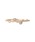 SIENA ROSE�i�V�G�i���[�j�́uBIRTH STAR�E�����O[�Ă�т��]�i�����O�j�v�b�C�G���[�S�[���h