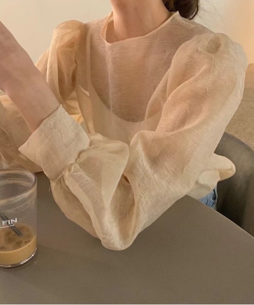 パワーショルダーシアーブラウス／【WEB/EC限定商品】（シャツ  