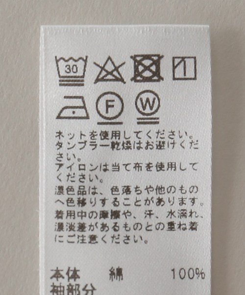 WEB限定追加》カットワークレーススリーブプルオーバー（Tシャツ