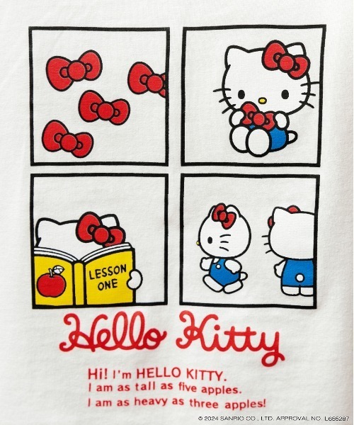 ad thie(アドティエ)の「【HELLO KITTY】 前後プリント ショート丈ロングTシャツ(Tシャツ/カットソー・レディース・オフホワイト/チャコール・FREE)」の22枚目の写真