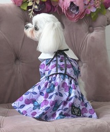 ANNA SUI(AiXC)ANNA SUI/{^C`F[s[X(ybgEFA)