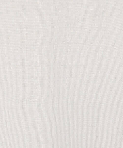 SUNSPEL（サンスペル）の「SUNSPEL コットンシルク クルーネックTシャツ（Tシャツ/カットソー・メンズ・ホワイト/ブラック・M/L）」の10枚目の写真