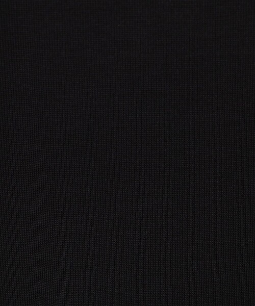 SUNSPEL（サンスペル）の「SUNSPEL コットンシルク クルーネックTシャツ（Tシャツ/カットソー・メンズ・ホワイト/ブラック・M/L）」の11枚目の写真