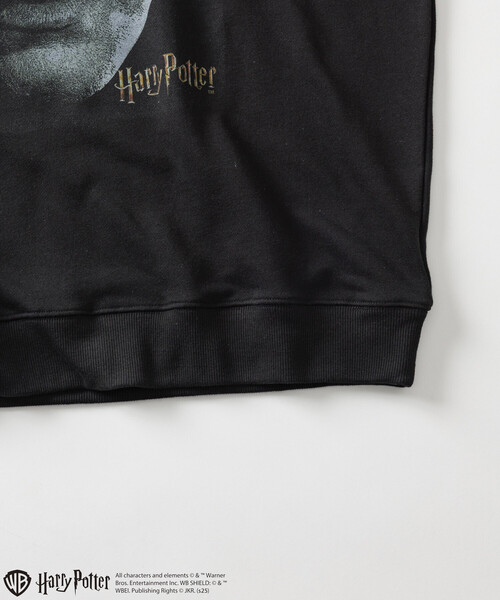 FREAK'S STORE(フリークスストア)の「Harry Potter/ハリー・ポッター スネイプ フロントプリントクルーネックスウェット(スウェット・メンズ・ブラック/ライトグレー・MEDIUM/LARGE)」の9枚目の写真