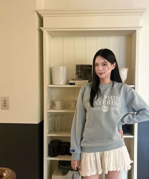 DOLPHIN WAVE APPAREL(ドルフィンウェーブアパレル)の「ドルフィンウォータリングエッセンシャル裏起毛スウェットシャツブルー(スウェット・メンズ・その他・X-LARGE/MEDIUM/LARGE)」の9枚目の写真