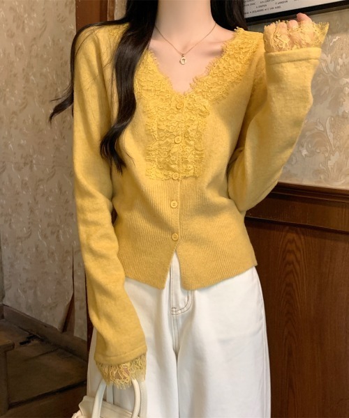 Aelina(エリナ)の「Vネックレースパッチワークニットカーディガン(カーディガン/ボレロ・レディース・ベージュ/イエロー/ブルー/グレー・FREE)」の1枚目の写真