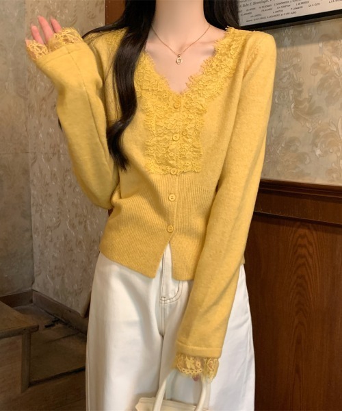 Aelina(エリナ)の「Vネックレースパッチワークニットカーディガン(カーディガン/ボレロ・レディース・ベージュ/イエロー/ブルー/グレー・FREE)」の20枚目の写真