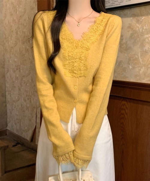 Aelina(エリナ)の「Vネックレースパッチワークニットカーディガン(カーディガン/ボレロ・レディース・ベージュ/イエロー/ブルー/グレー・FREE)」の21枚目の写真