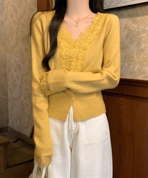 Aelina(エリナ)の「Vネックレースパッチワークニットカーディガン(カーディガン/ボレロ・レディース・ベージュ/イエロー/ブルー/グレー・FREE)」の22枚目の写真