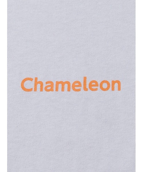 LITTLE UNION(リトルユニオン)の「【カメレオン meets LITTLE UNION】爆妖鬼 L/S TEE(Tシャツ/カットソー・メンズ・グレー/イエロー/ブラック・MEDIUM/LARGE)」の13枚目の写真