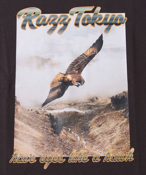 RAZZIS(ラズ)の「『RAZZIS/ラズイズ』イーグルフォトロゴプリントクルーネック半袖Tシャツ (Tシャツ/カットソー・メンズ・ホワイト/チャコール・M/XL/L)」の9枚目の写真