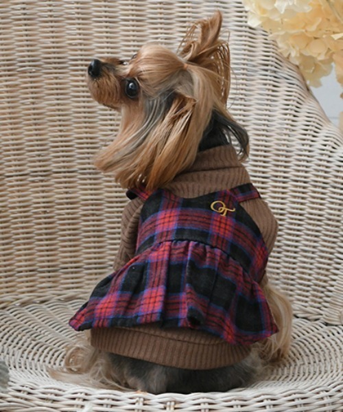 One Octave(ワンオクターヴ)の「One Octave/ビスチェ付ニット(ペットウェア・レディース・レッド/グリーン・2XS/XS/S/M/L/2L/2M)」の2枚目の写真