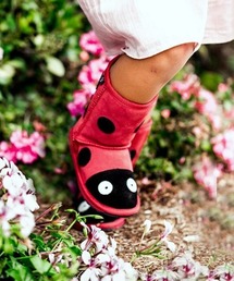 Ladybird