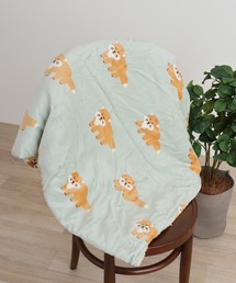 FUNALIVE(�t�@���A���C�u)�̃X�����l���}���`�u�����P�b�g(�u�����P�b�g)