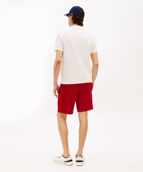 TOMMY HILFIGER(トミーヒルフィガー)の「アメリカーナモノタイプフラッグボックスTシャツ(Tシャツ/カットソー・メンズ・ホワイト/レッド/ネイビー・LARGE/SMALL/X-LARGE/MEDIUM)」の14枚目の写真