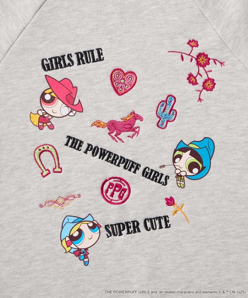THE POWERPUFF GIRLS】別注 パワーパフ ガールズ グラフィック刺繍