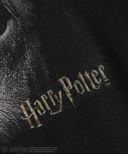 FREAK'S STORE（フリークスストア）の「Harry Potter/ハリー・ポッター グレイバック クルーネックスウェット（スウェット・メンズ・ブラック・LARGE/MEDIUM）」の4枚目の写真